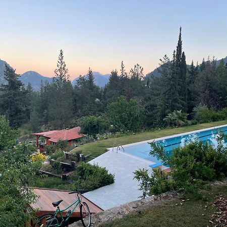 Trinitys Forest Bungalows Kemer Dış mekan fotoğraf
