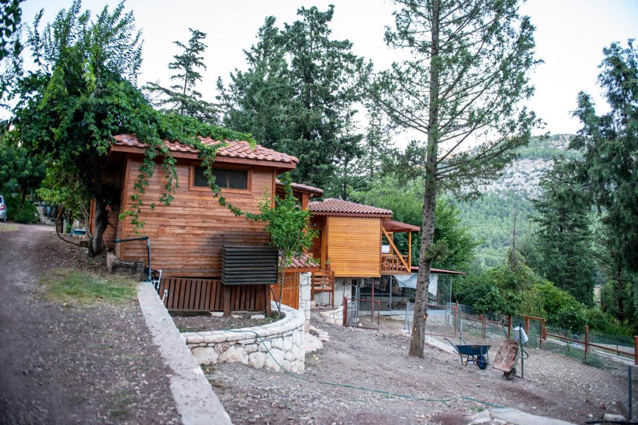 Trinitys Forest Bungalows Kemer Dış mekan fotoğraf