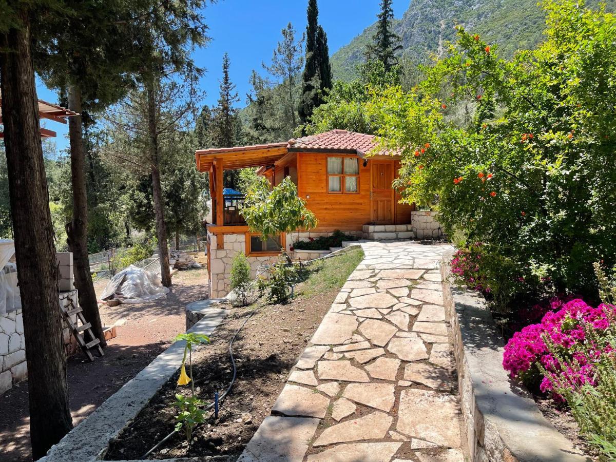Trinitys Forest Bungalows Kemer Dış mekan fotoğraf