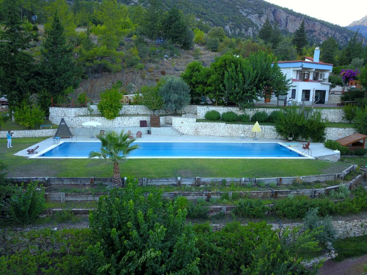 Trinitys Forest Bungalows Kemer Dış mekan fotoğraf