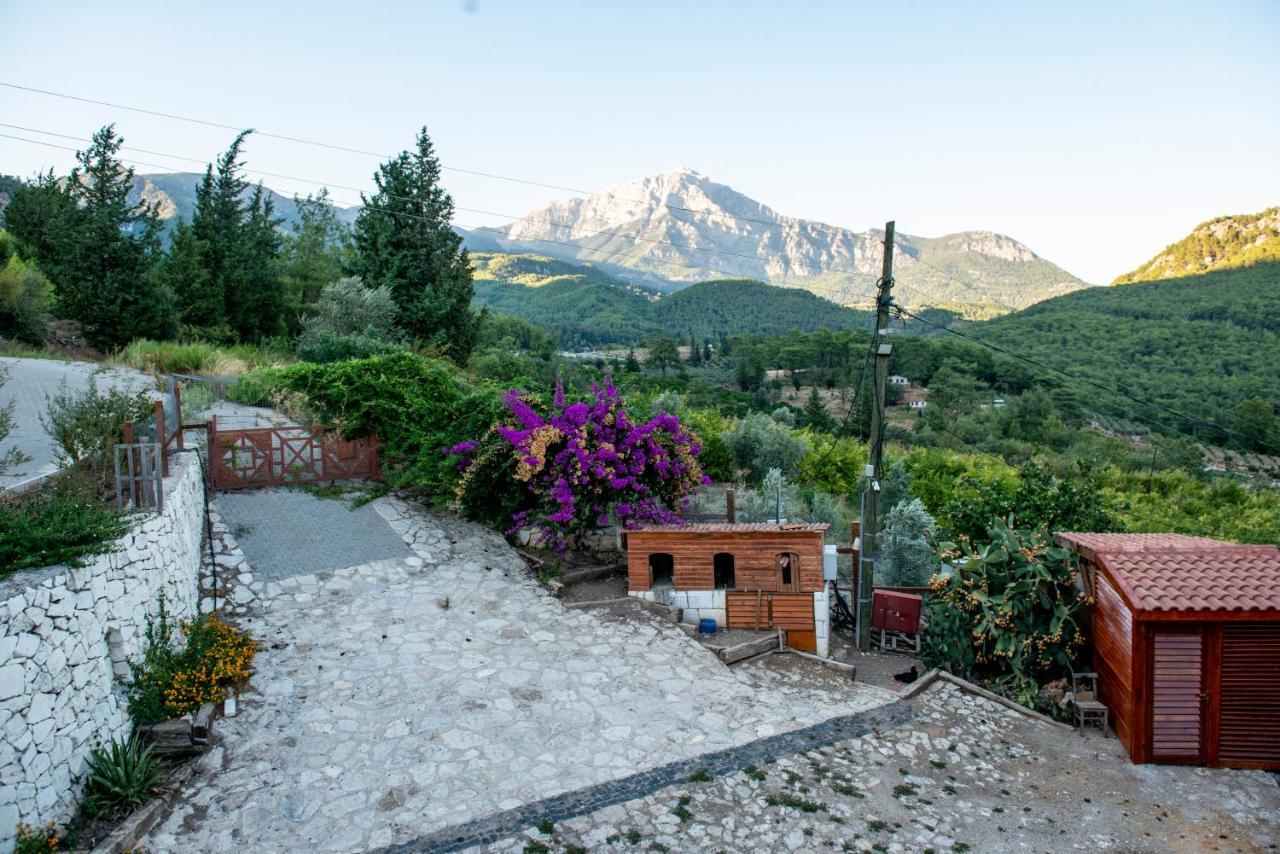 Trinitys Forest Bungalows Kemer Dış mekan fotoğraf