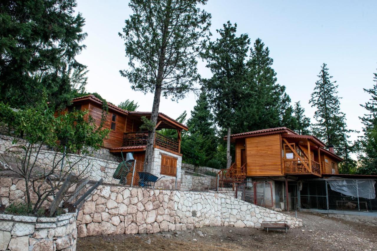 Trinitys Forest Bungalows Kemer Dış mekan fotoğraf