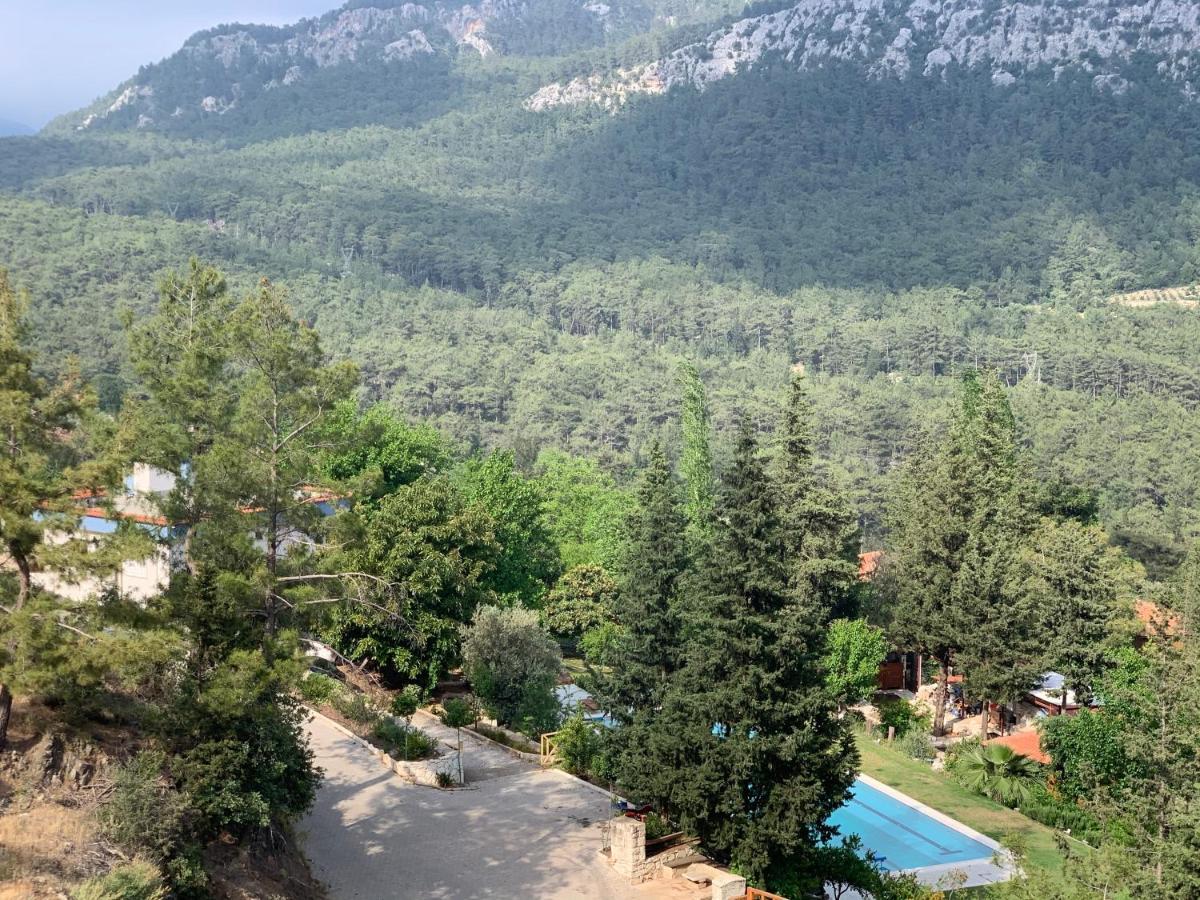 Trinitys Forest Bungalows Kemer Dış mekan fotoğraf