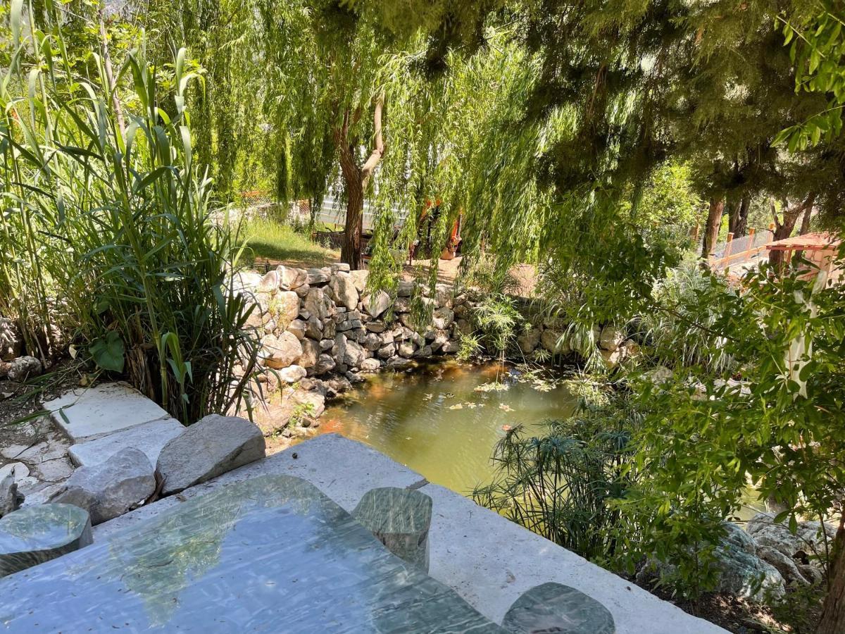 Trinitys Forest Bungalows Kemer Dış mekan fotoğraf