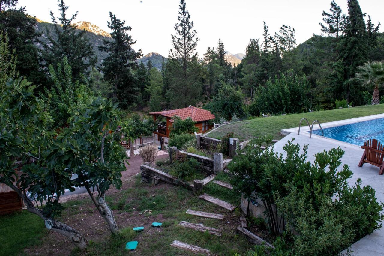 Trinitys Forest Bungalows Kemer Dış mekan fotoğraf