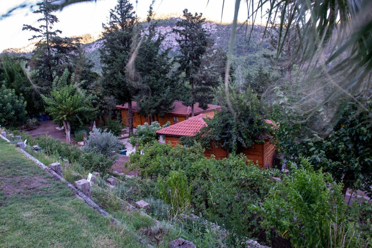 Trinitys Forest Bungalows Kemer Dış mekan fotoğraf