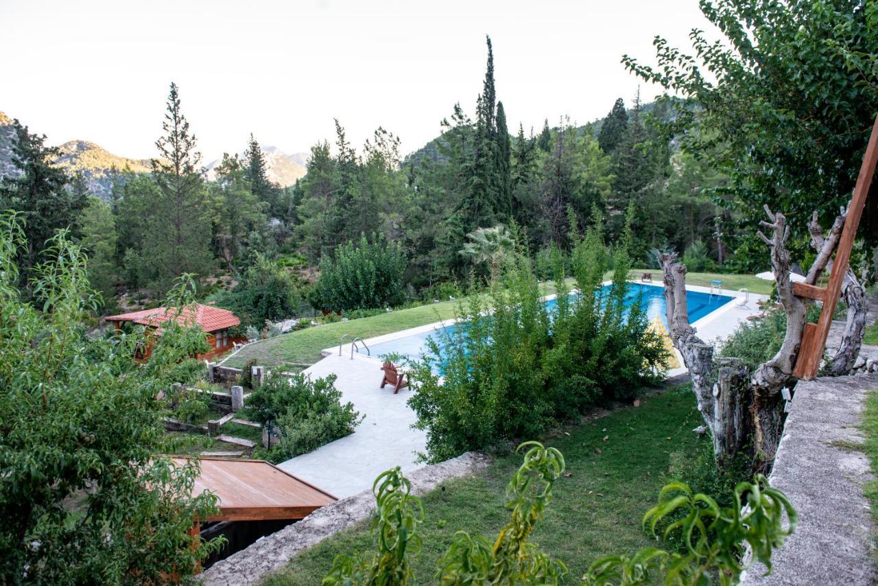 Trinitys Forest Bungalows Kemer Dış mekan fotoğraf