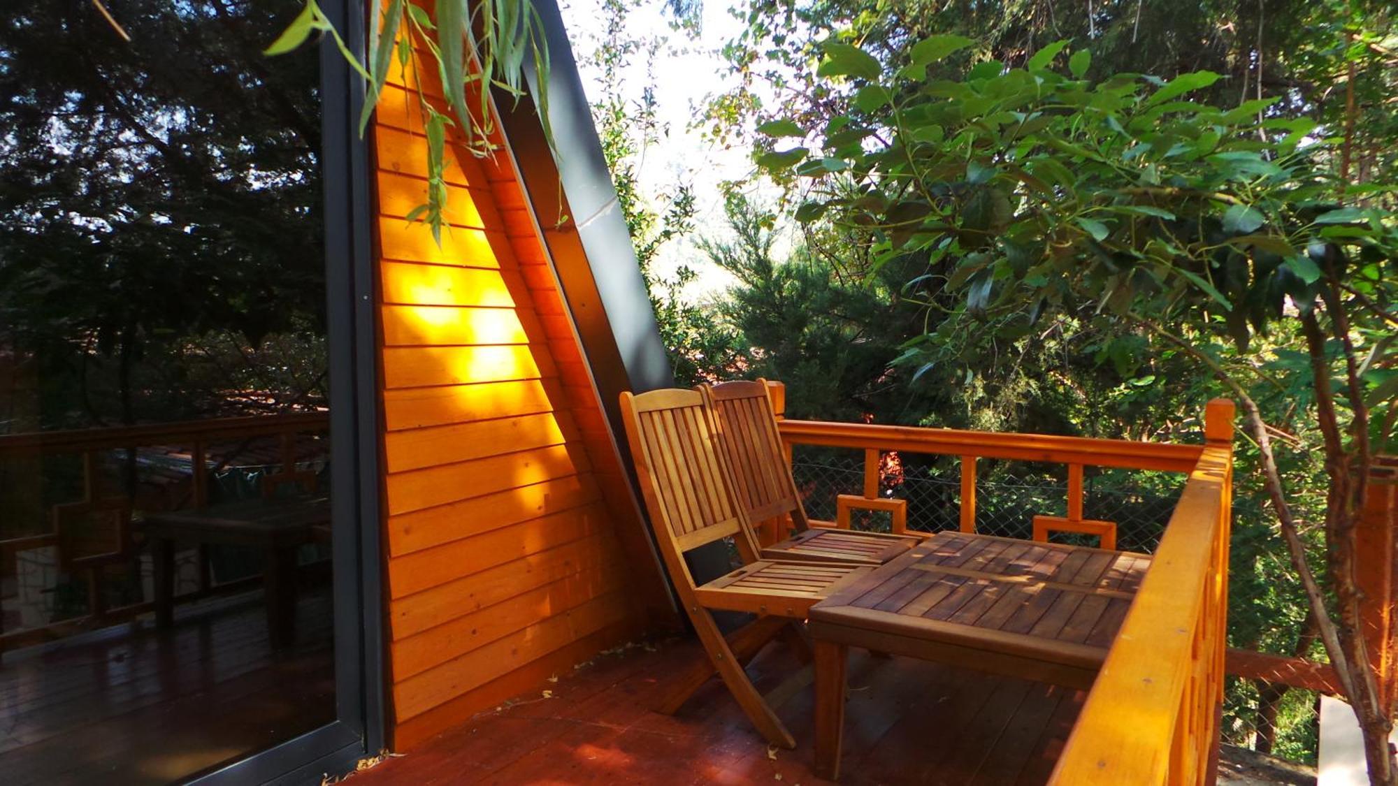 Trinitys Forest Bungalows Kemer Dış mekan fotoğraf